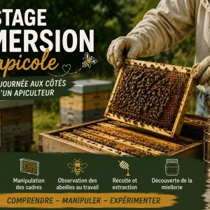apiculteur manipule un cadre d'abeille d'une ruche