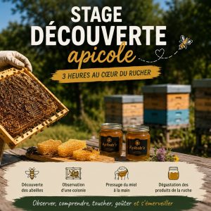 apiculteur manipule un cadre d'abeille d'une ruche